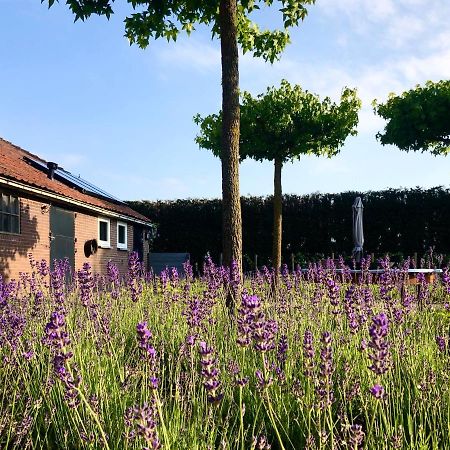 Lavender Lodge Achthuizen Екстериор снимка