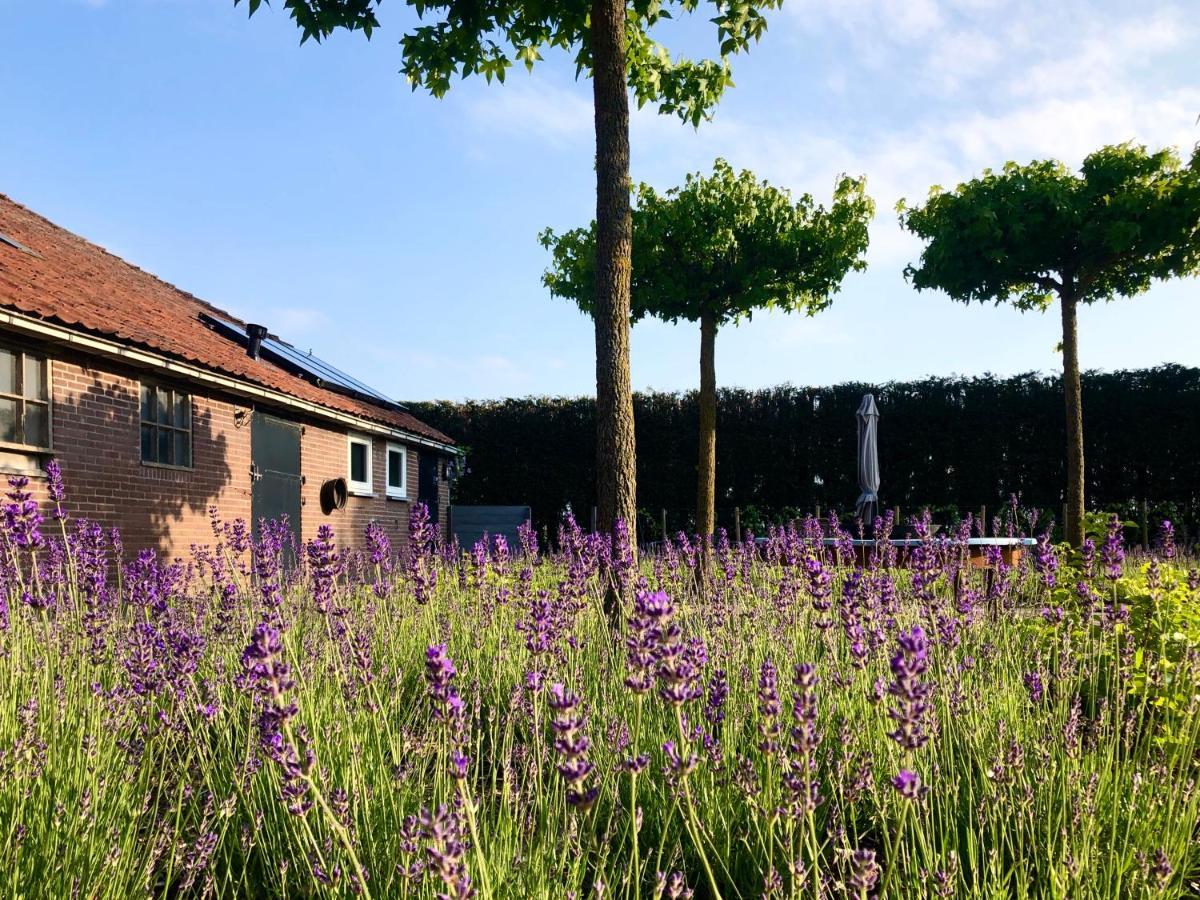 Lavender Lodge Achthuizen Екстериор снимка